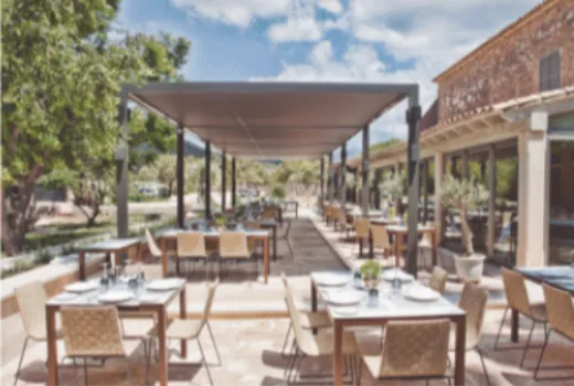 Descripción de la imagen